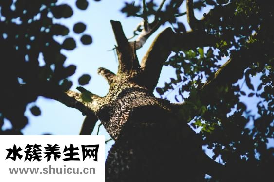 睡眠不好怎么调理