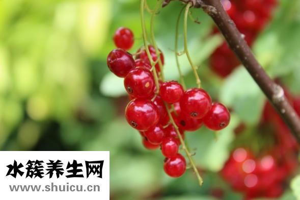 圆脸如何变瓜子脸