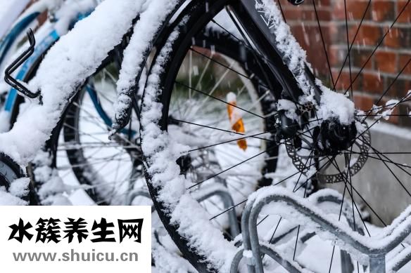 什么是头发种植