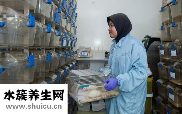 八角是怎么一回事（腊八蒜不绿是怎么回事）