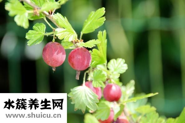 怎么快速去除皱纹