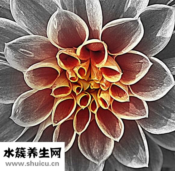 怎么祛红血丝