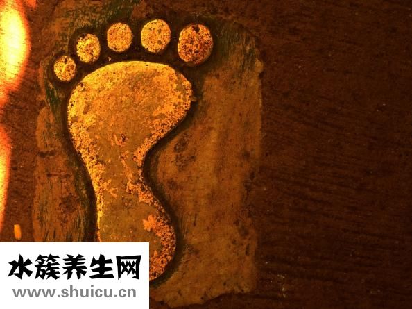 大闸蟹怎么清洗