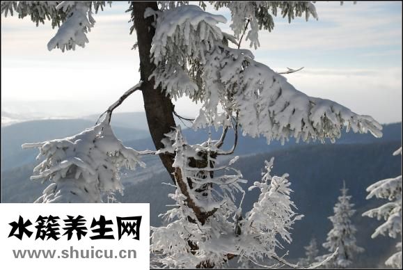 人体正常温度是多少