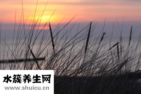 精神分裂症怎么治