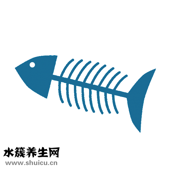 吃什么能增强记忆力