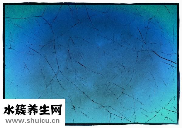 如何清洗粉扑
