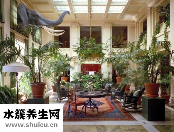 强迫症吃什么药