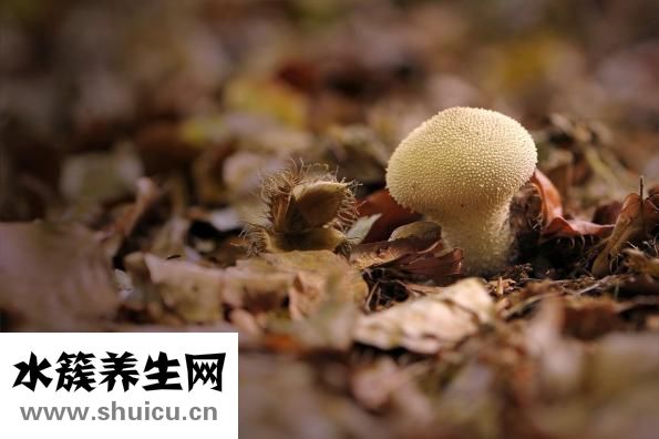 手蜕皮怎么办