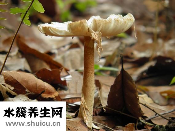 手蜕皮怎么办