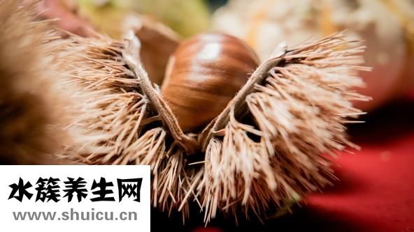 如何炖羊肉