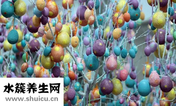 手术后喝什么汤