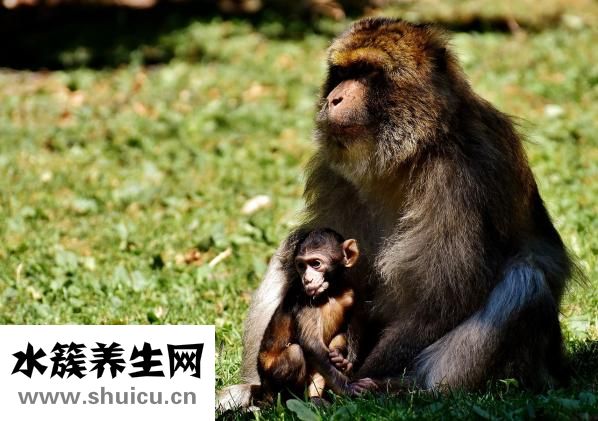 宝宝老是吐奶怎么办