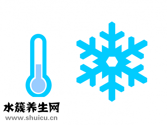 脸上有痤疮怎么办