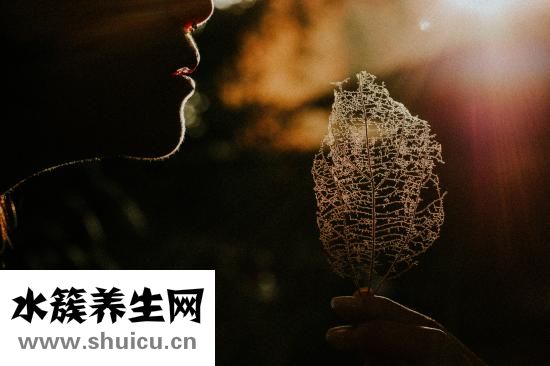 如何快速提高记忆力