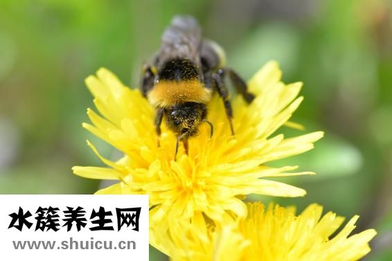 感觉是什么