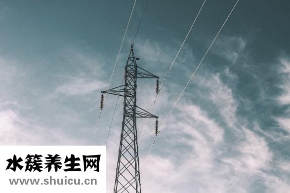 股长是什么