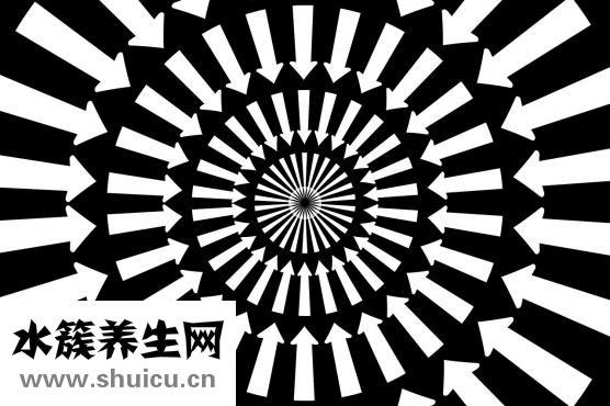 如何减臀部