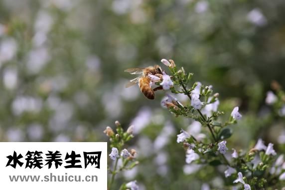怎么去青春痘