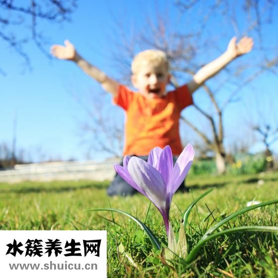出生证明怎么开