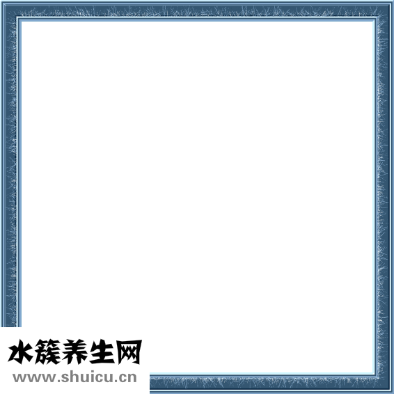 厌食症怎么办