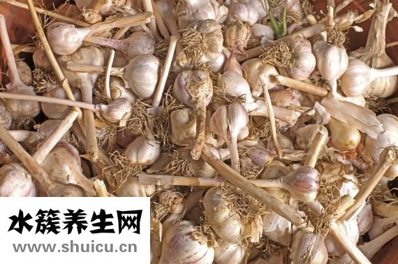 早上起来口臭怎么办