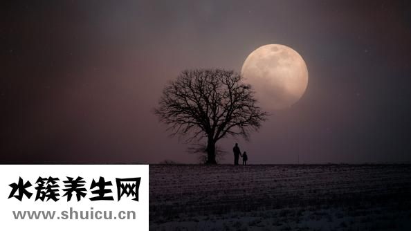 蚂蝗怕什么