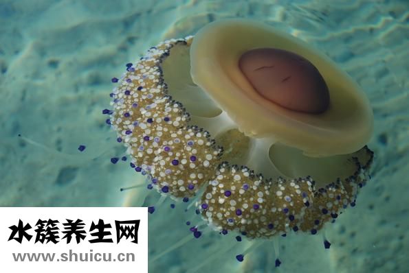 怎么治疗前列腺炎
