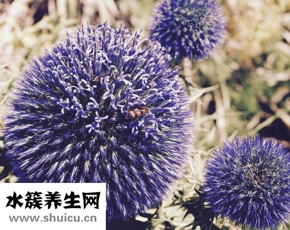 早上起来口臭怎么办