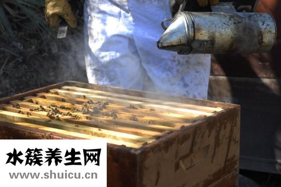 蜂蜜有什么好处