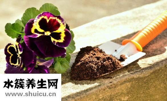怎么消除眼角皱纹
