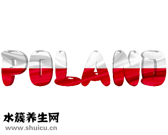 神经衰弱吃什么好