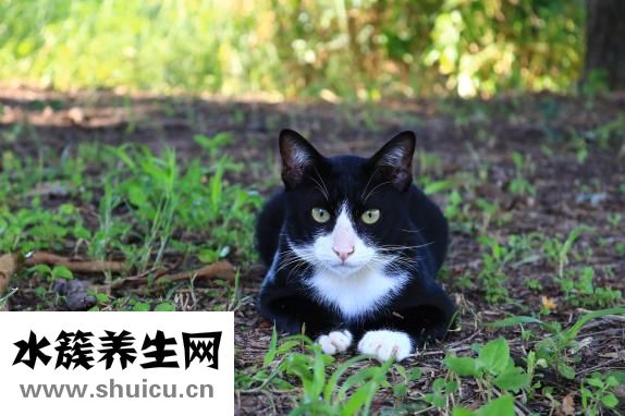 如何去眼部皱纹