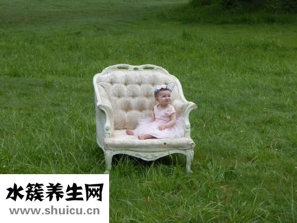 双引号的作用有哪些
