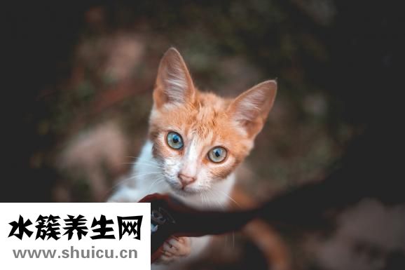 红血丝怎么去除