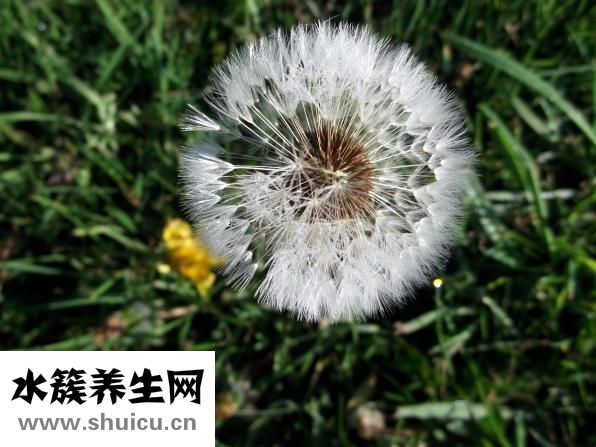 玻尿酸隆鼻怎么样