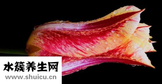 黄褐斑如何去掉