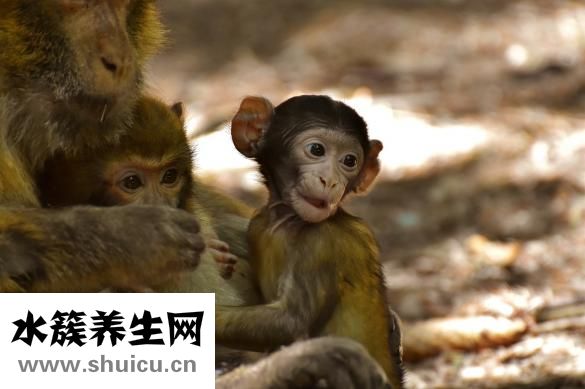 宝宝为什么会吐奶