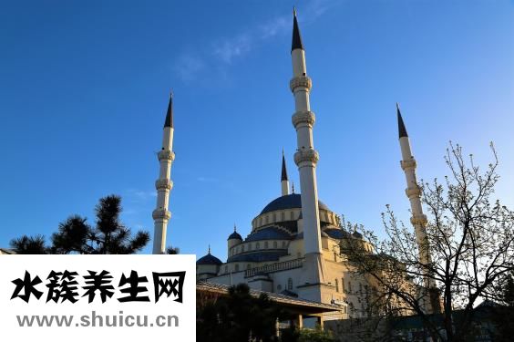 如何评价李鸿章