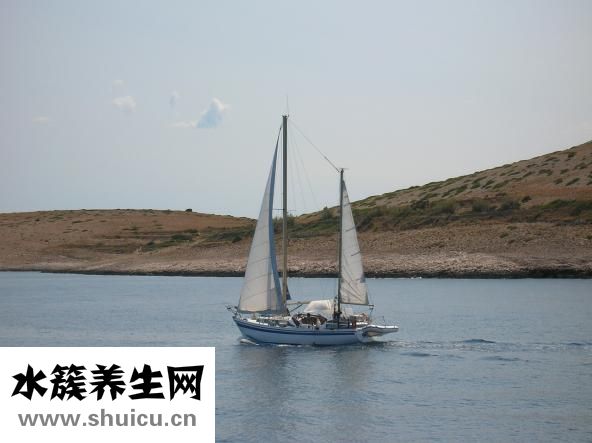 婚前检查都检查什么