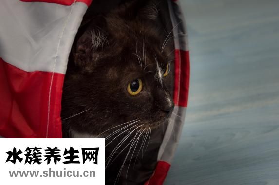 怎么去除红血丝