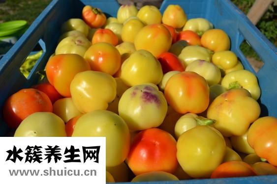 痛经吃什么药好