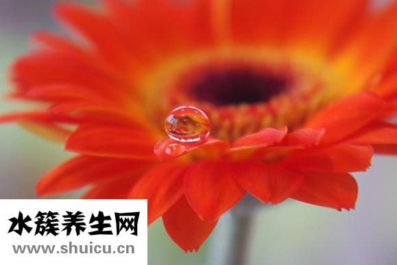 怎么让毛孔变小