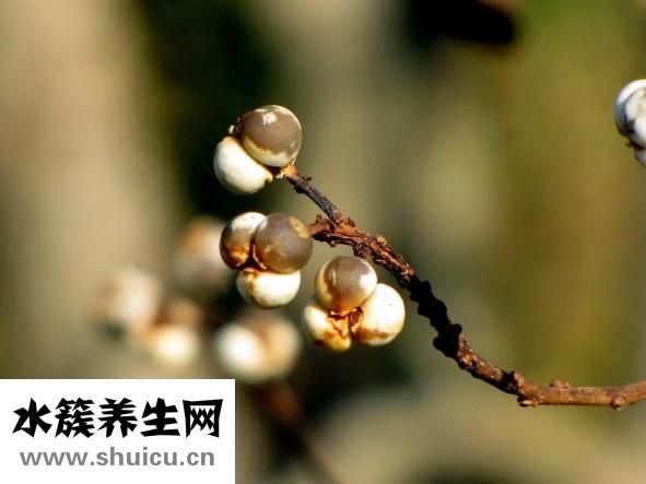 手发麻是什么原因