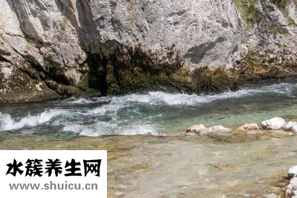 怎么清洗饮水机