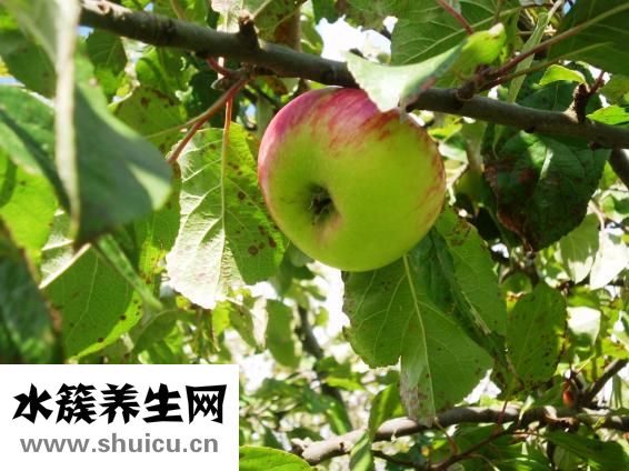 如何去痘坑
