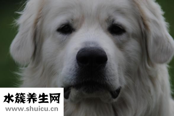 怎么让毛孔变小