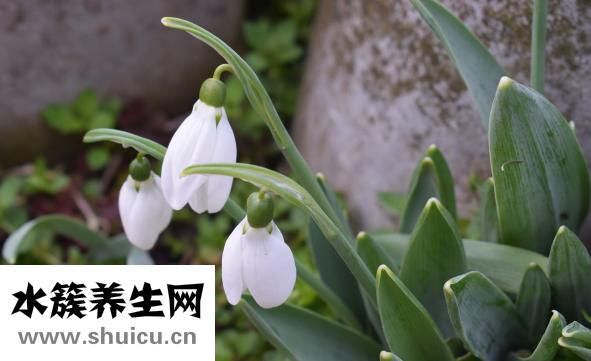 心理素质差怎么办