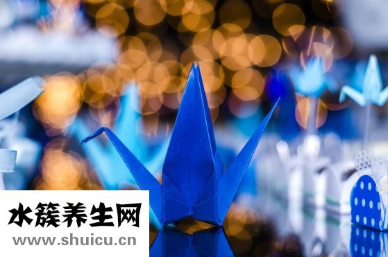 流产后注意什么