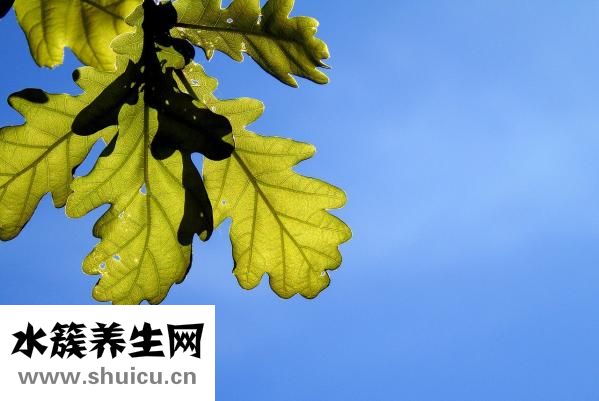 脸上过敏痒怎么办